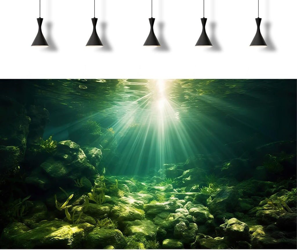 Underwater Sunray Aquarium Background Deep Ocean Rock Cave Fish Tank Background Under The Sea Coral Reef Aquarium Backgrounds Ocean Floor Tropical Fish Terrarium Backgrounds 24x16in