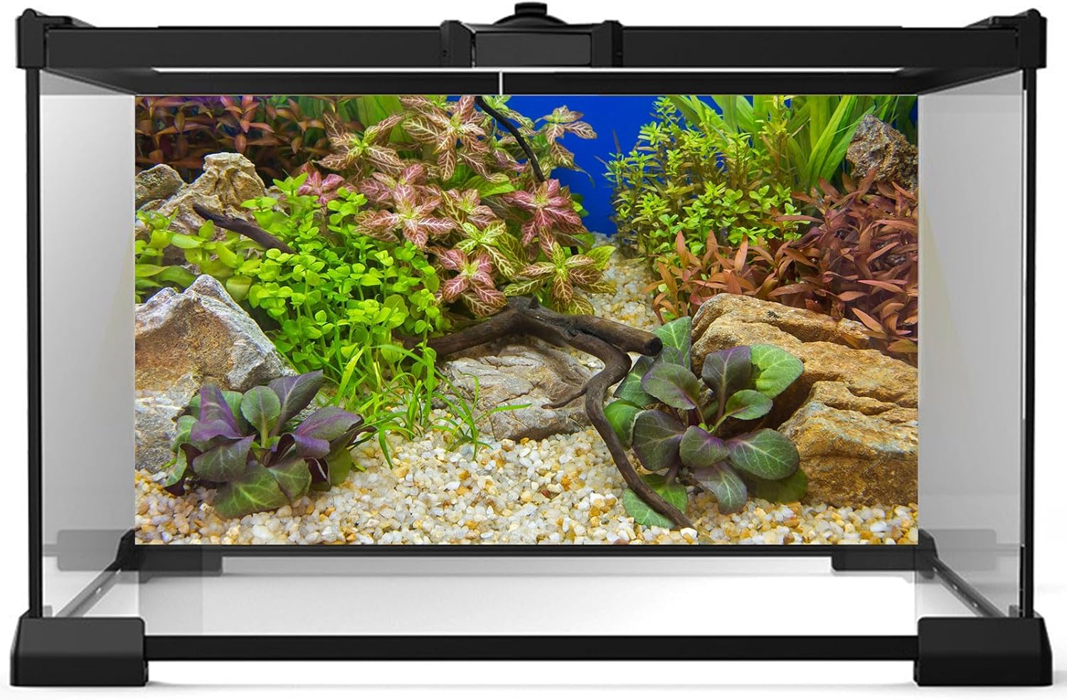 Aquarium Background Various Underwater Grass Plants Pebble Aquarium Backdrop Vivid and Fresh Green Aquatic Plants Stone River Bed and Dead Wood Purple Leaves Tank Background Vinyl 60x24in