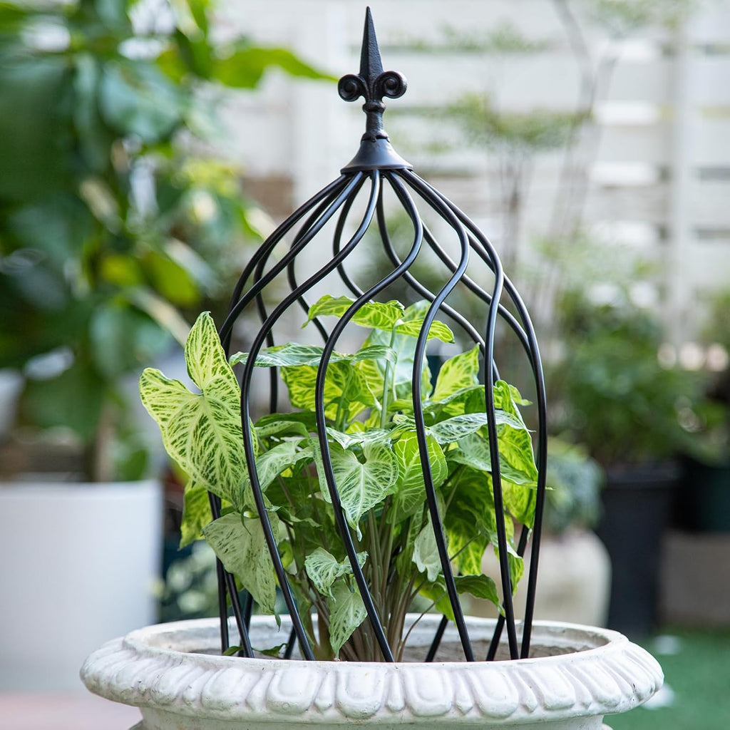 23-Inch Metal Obelisk Trellis for Climbing Plants | Sturdy Iron Design, Ideal for Outdoor Roses and Potted Vines | Easy Assembly, Compact Vertical Garden Decor for Indoor & Outdoor Use