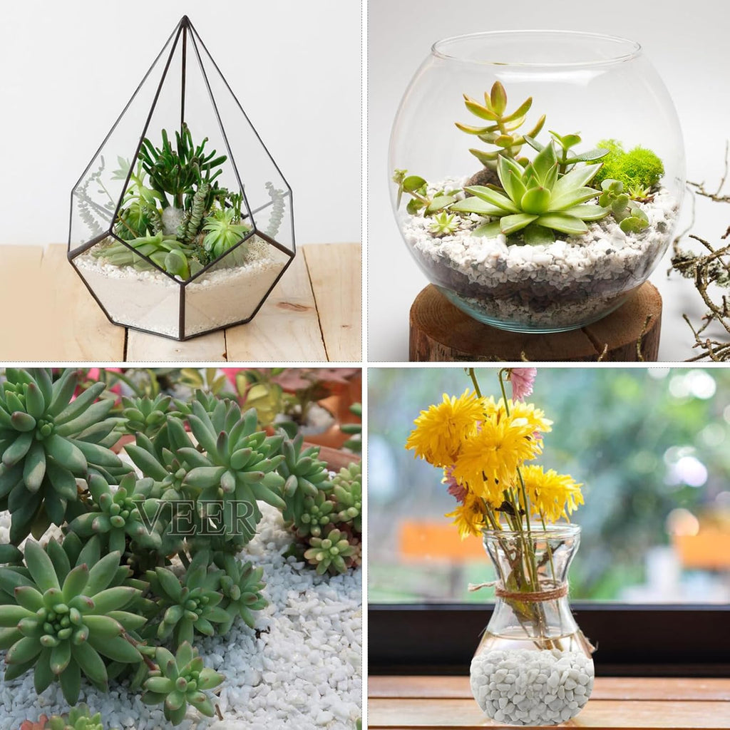 10lbs White Pebbles for Landscaping, 3/8inch Small Rocks for Succulent Cactus Planters, Natural Polished Pebbles, River Rocks for Plants, Vases, Garden