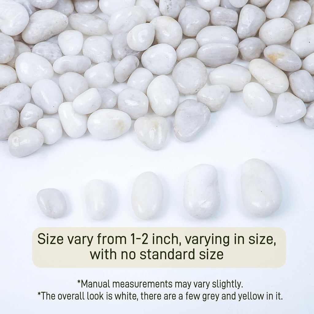 45lbs White River Rocks, 1-2 Inch Natural Pebbles for Indoor Plants, Polished Pebbles for Garden Landscaping Aquariums Vase Fillers and Outdoor Decorative Stones