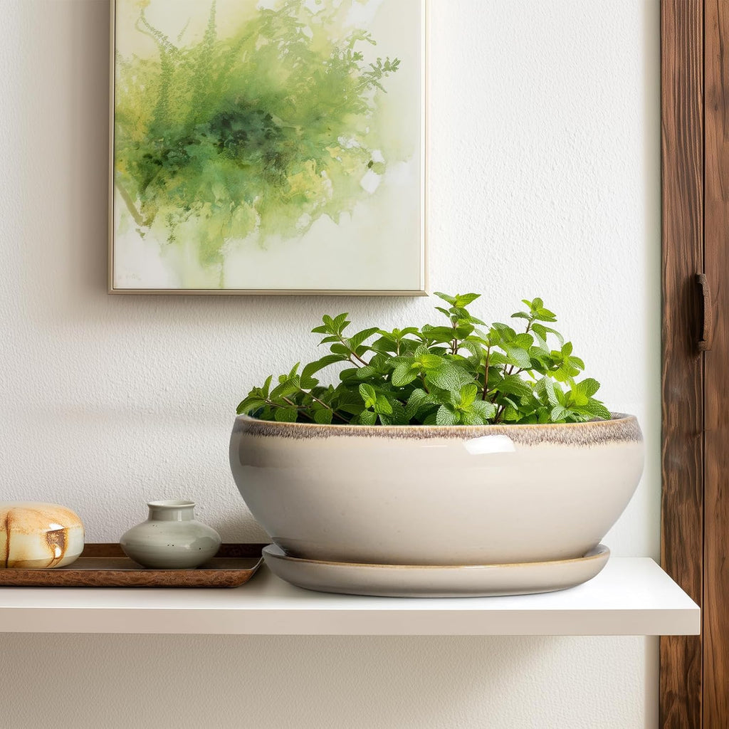 SQOWL Bonsai Pots 12 Inch - Large Ceramic Succulent Planters, Shallow Planter with Drainage Hole and Saucer, Round Bowl Planter for Indoor Outdoor Plants, Home Decor, Plant Lover Gifts, Beige