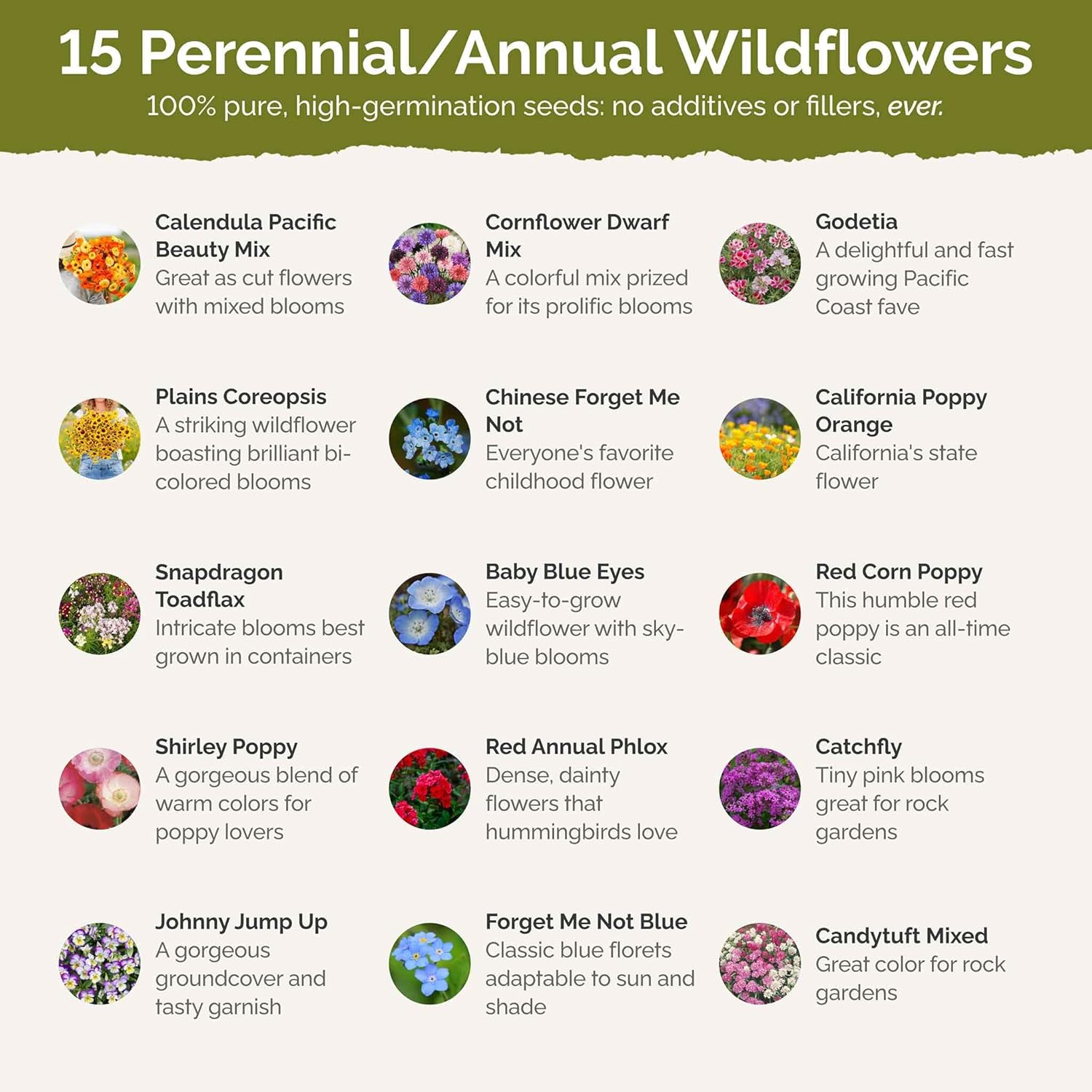 Eden Brothers Shorty Low Grow Wildflower Mixed Seeds for Planting, 1/4 lb, 120,000+ Seeds with Calendula, Cornflower | Attracts Pollinators, Plant in Spring or Fall, Zones 3, 4, 5, 6, 7, 8, 9, 10