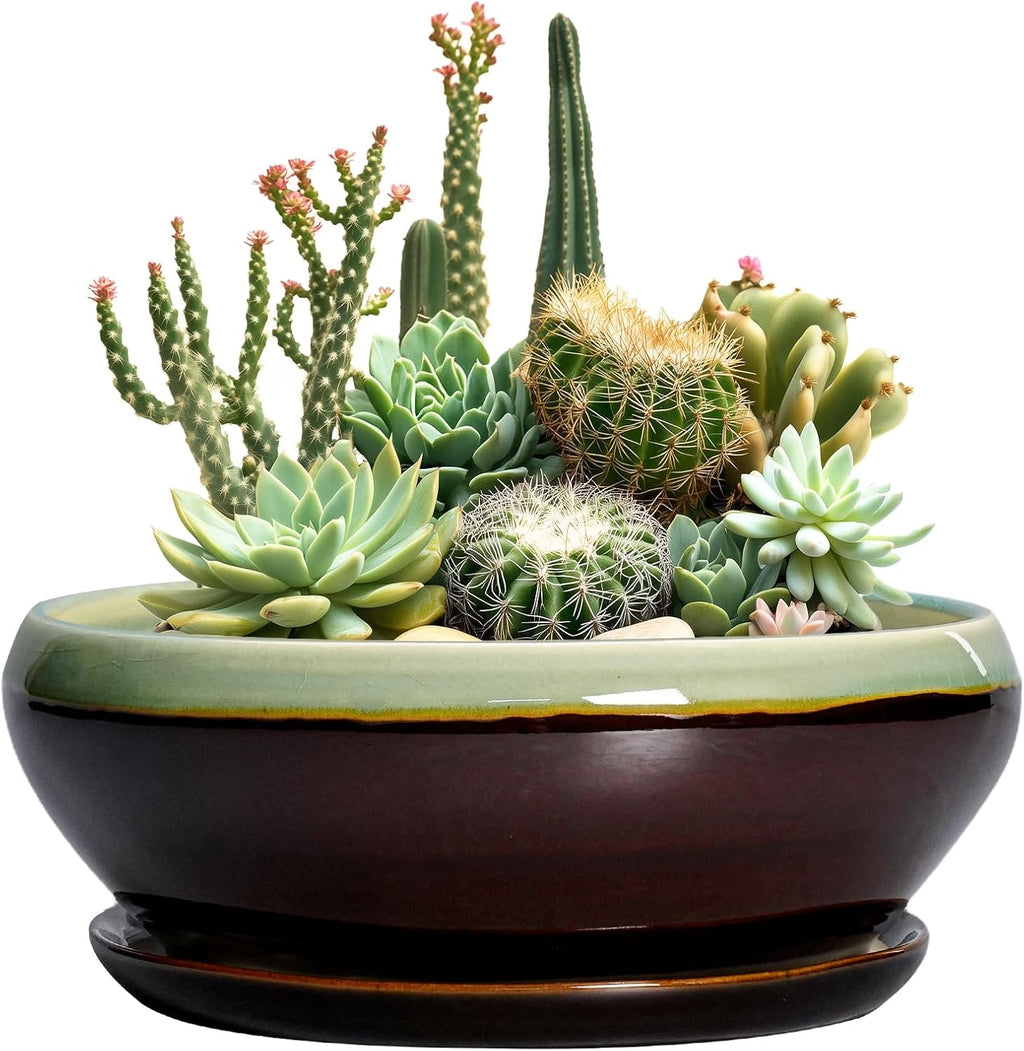 SQOWL Succulent Planters 10 Inch - Ceramic Bonsai Pots with Drainage Hole and Saucer, Shallow Indoor Planter, Round Succulent Pot, Bowl Planter Outdoor, Porch Decor, Gift for Plant Lover, Green-Brown