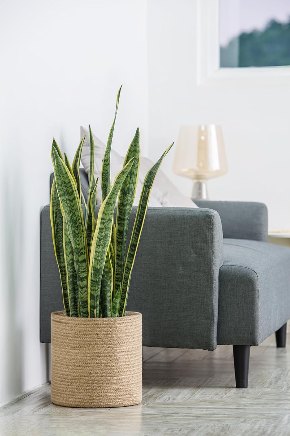 Dahey Jute Rope Plant Basket Modern Woven Storage Basket for 10.5" Indoor Planter, Decorative Flower Pots Cover Laundry Bin with Handle Rustic Home Decor, Beige