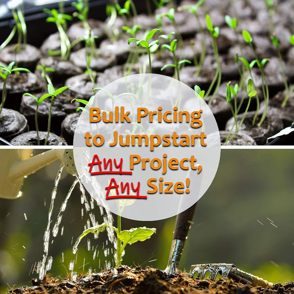 Thai Ornamental Hot Pepper 1 Gram ~430 Seeds – Non-GMO, Heirloom, Open-Pollinated – 50K–100K SHU – Compact, Upright Plants – Edible & Decorative – Heat-Tolerant