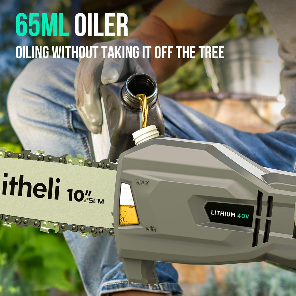 Litheli Cordless Pole Saw & Chainsaw 10-Inch, Battery Powered 20V 2.0Ah Pole Saws & 20V 4.0Ah Chainsaw for Branch, Cutting, Trimming, Electric Saws(Battery & Charger Included)