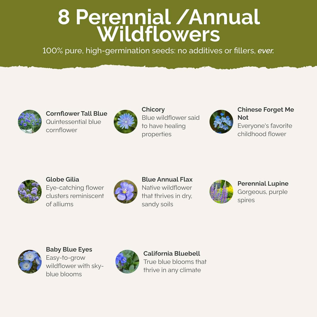 Eden Brothers Singin the Blues Wildflower Mixed Seeds for Planting, 1/4 lb, 120,000+ Seeds with Blue Flax, Lupine, Chicory, Attracts Pollinators, Plant in Spring or Fall, Zones 3, 4, 5, 6, 7, 8, 9, 10