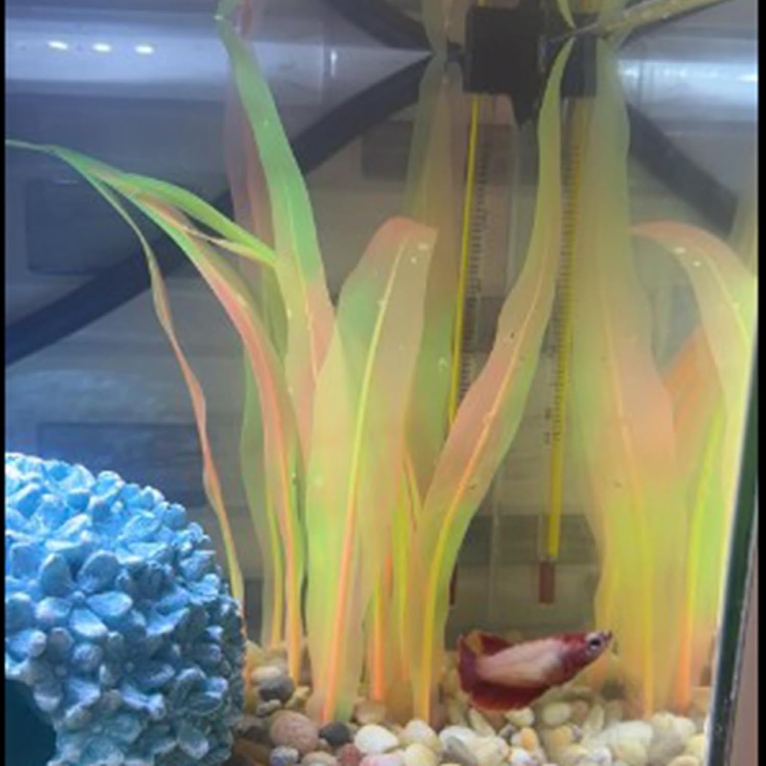 3Pcs Soft Silicone Aquarium Plants Set Glowing Kelp Fish Tank Plants Decor Artificial Orange Aquarium Plant Simulation Artificial Water Grass for Fish Tank,7.08in9.84in16.9in