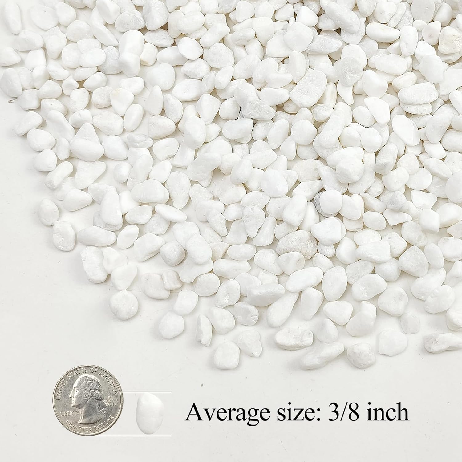 5lbs White Pebbles for Indoor Plants, 3/8inch Small Rocks for Succulent Cactus Planters, Natural Polished Pebbles, River Rocks for Plants, Vases, Garden