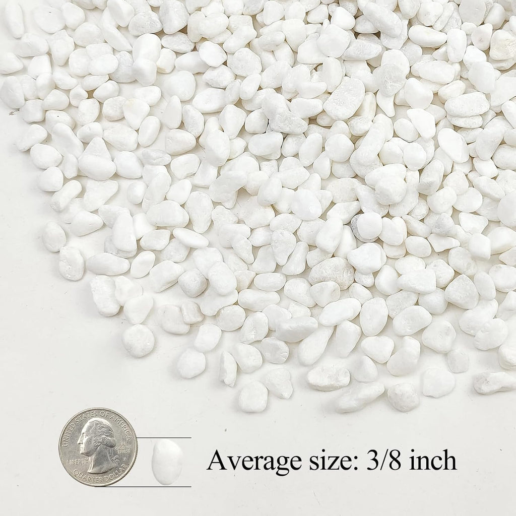 20lbs White Pebbles for Landscaping, 3/8inch Small Rocks for Gardening Succulent Cactus Planters, Natural Polished Pebbles, River Rocks for Plants, Vases