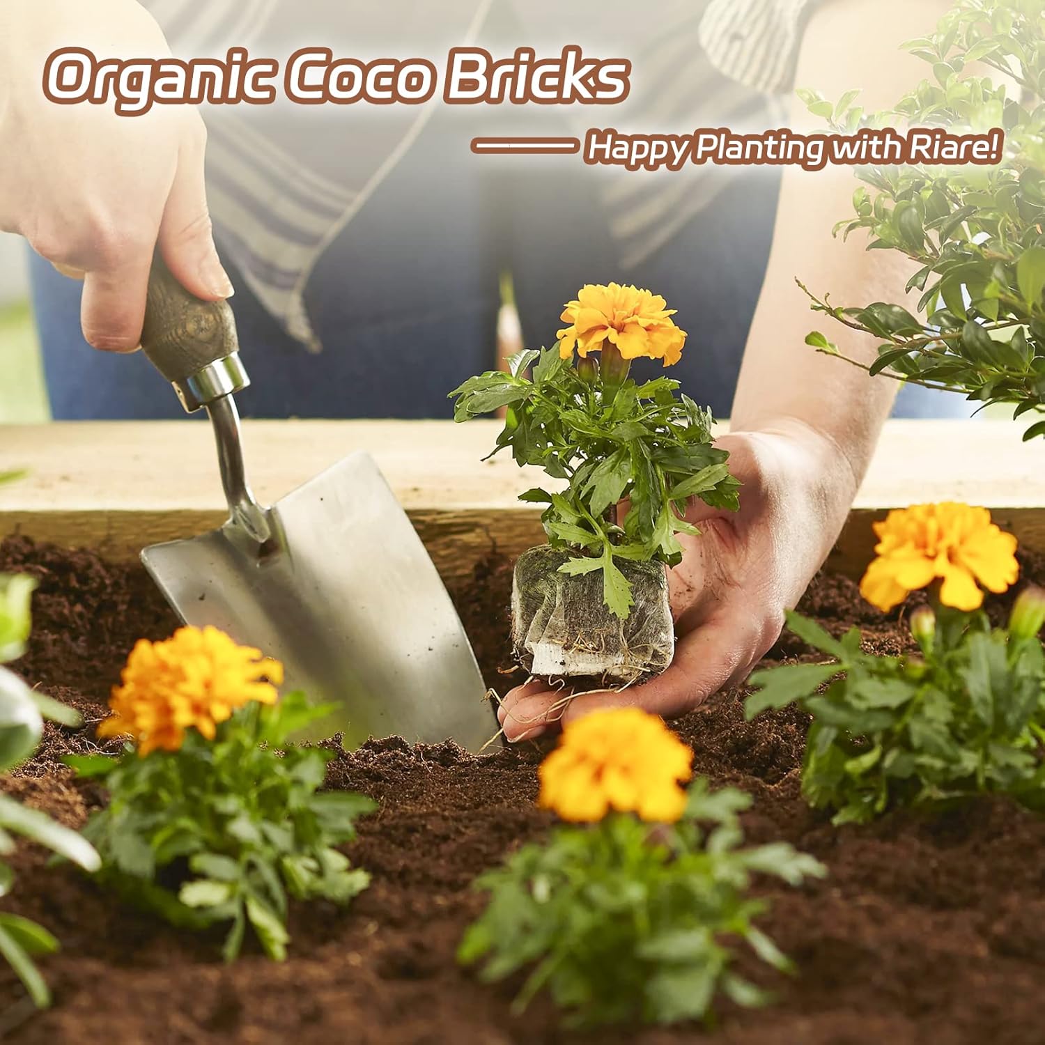 Riare 8pcs Organic Coco Coir Bricks Soil Blocks- 100% Natural Compressed Coco Peat Brick Coconut Fiber Substrate with Low EC& pH Balance, High Expansion Coco Coir Pith Coconut Husk for Garden