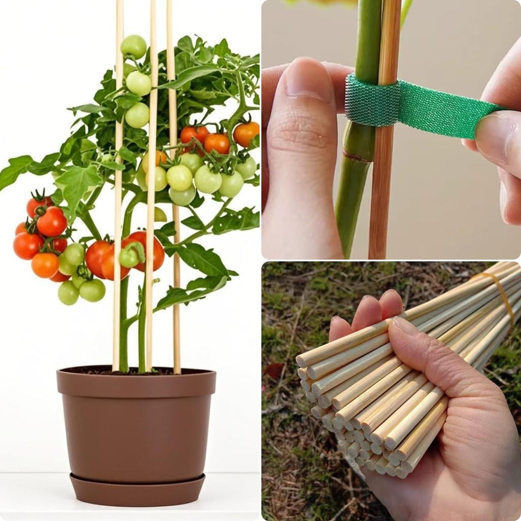 100 PCS 3FT Bamboo Plant Stakes 6.3mm Thick – 36-Inch Bamboo Sticks for Plants, Tomatoes, Beans, Climbing Plants – Smores Sticks & Marshmallow Sticks for Fire Pit and Campfire – VESYMAN