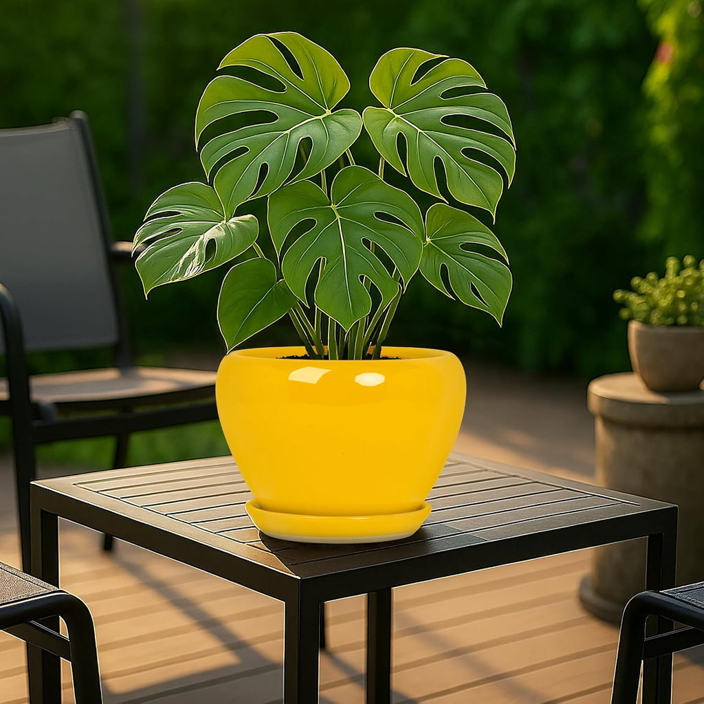 Deep Dream 8 Inch Plant Pots- Ceramic Pots for Plants with Drainage Hole and Saucer, Large Planter Pot for Indoor Plants Outdoor Decor, Yellow