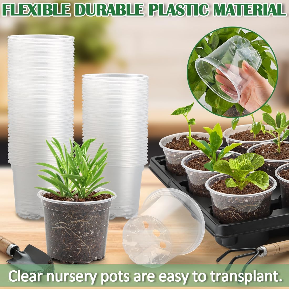 12 Cell Nursery Pot Trays 5 Pack with 4 Inch Clear Plant Pots 60 Pack, Thick Sturdy Seeds Starting Germination Shuttle Carrying Trays, Black Small Planter Nursery Propagation 5 Sets