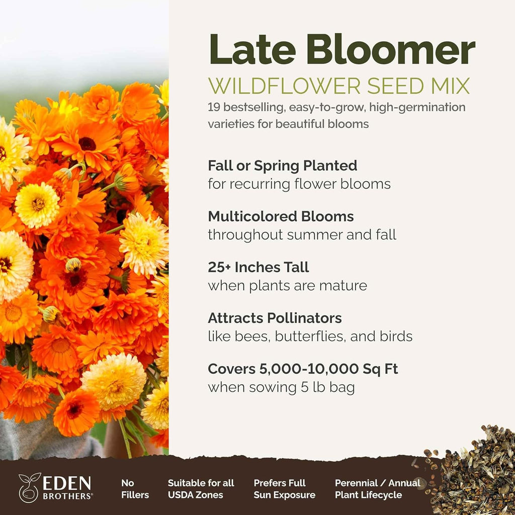 Eden Brothers Late Bloomer Wildflower Mixed Seeds for Planting, 5 lb, 2,400,000+ Seeds with White Yarrow, Snapdragon | Attracts Pollinators, Plant in Spring or Fall, Zones 3, 4, 5, 6, 7, 8, 9, 10