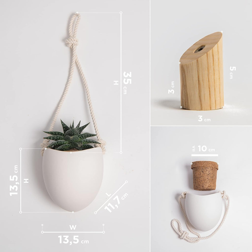 Kazai.® | Porcelain Wall Vases | 3 Piece Set | Including Wooden Hooks | Matte White