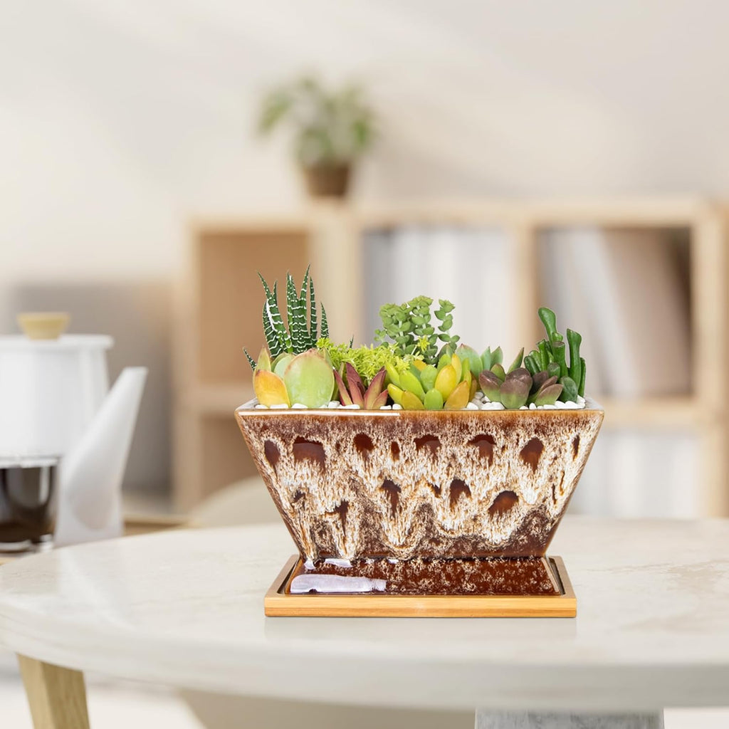 ARTKETTY Succulent Pots - 7 Inch Large Plant Pot with Drainage Tray, Shallow Ceramic Pots for Indoor Plants, Modern Cactus Bonsai Plant Container Decorative Home Office