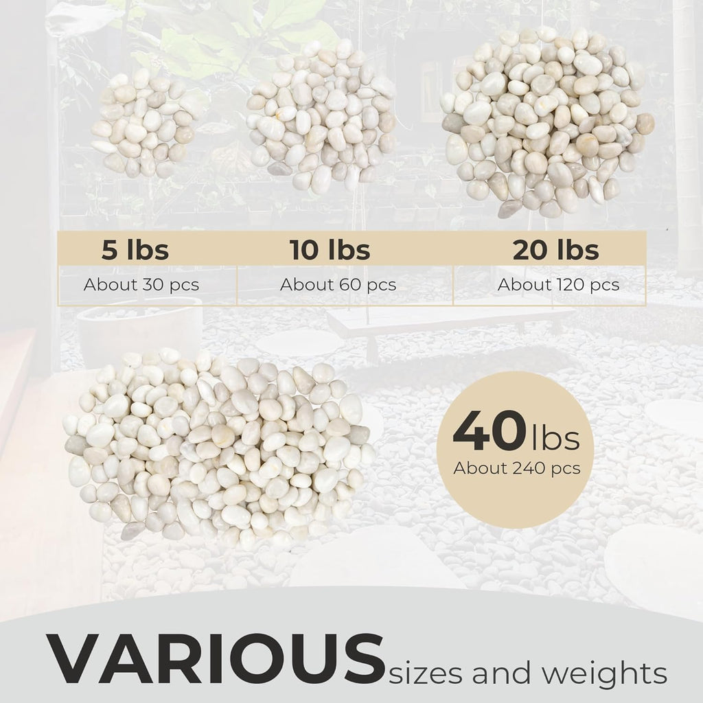 5lbs Large Pebbles for Indoor Plants, 2-3 Inch Natural White River Rocks for Aquarium, High Polished Decorative Stones for Vase Filler Fish Tank Landscaping Garden