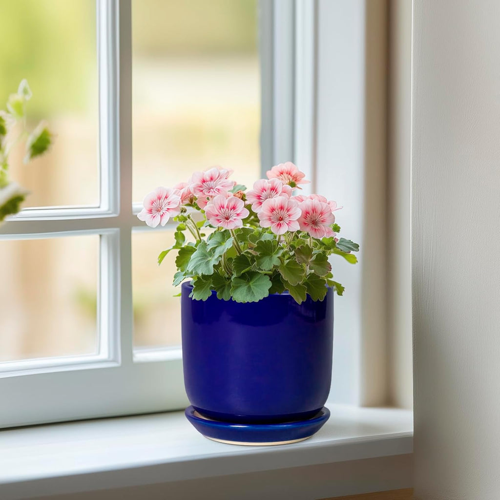 Succulent Pot 5 Inch - Modern Ceramic Planter for Indoor Plants with Drainage Hole and Saucer, Office Home Room Patio Decor, Blue