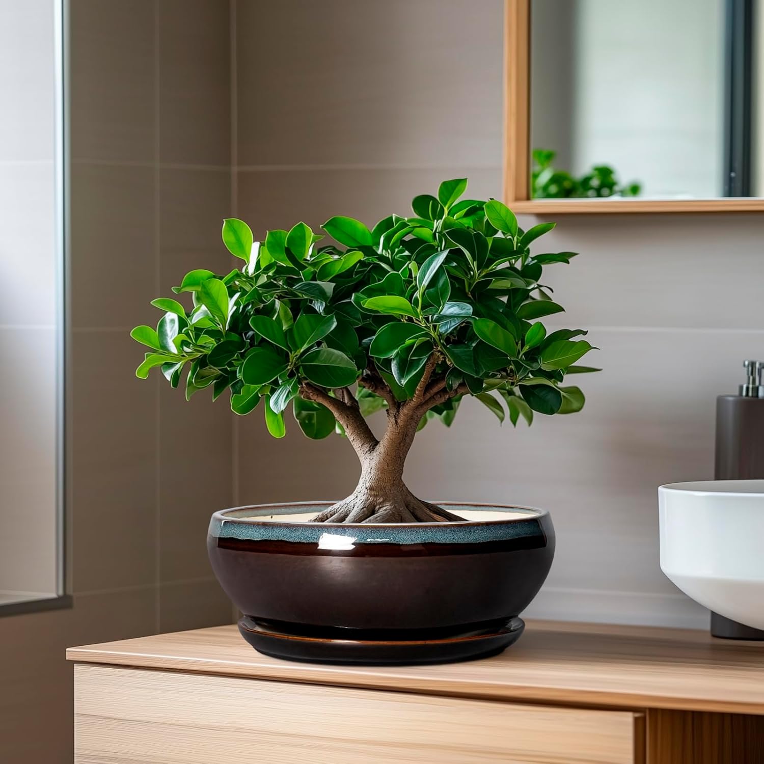 SQOWL Succulent Planters 8 Inch - Ceramic Bonsai Pots with Drainage Hole and Ceramic Saucer, Round Shallow Planter for Indoor Plant, Bowl Planter Outdoor, Desk Decor, Gift for Plant Lover, Blue-Brown