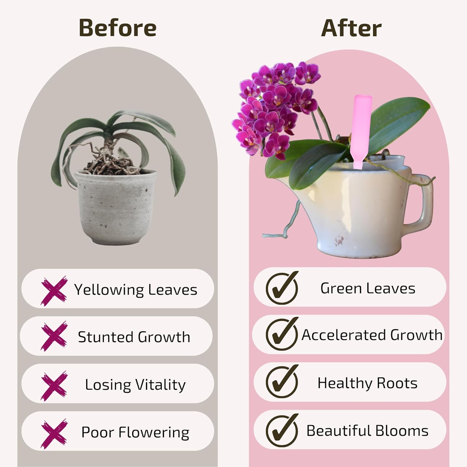 Liquid Orchid Fertilizer Spikes | Ready-to-Use Orchid Food Spikes & Orchid Plant Food for Blooming, Fertilizer for Orchids (8 Drip Feeders)