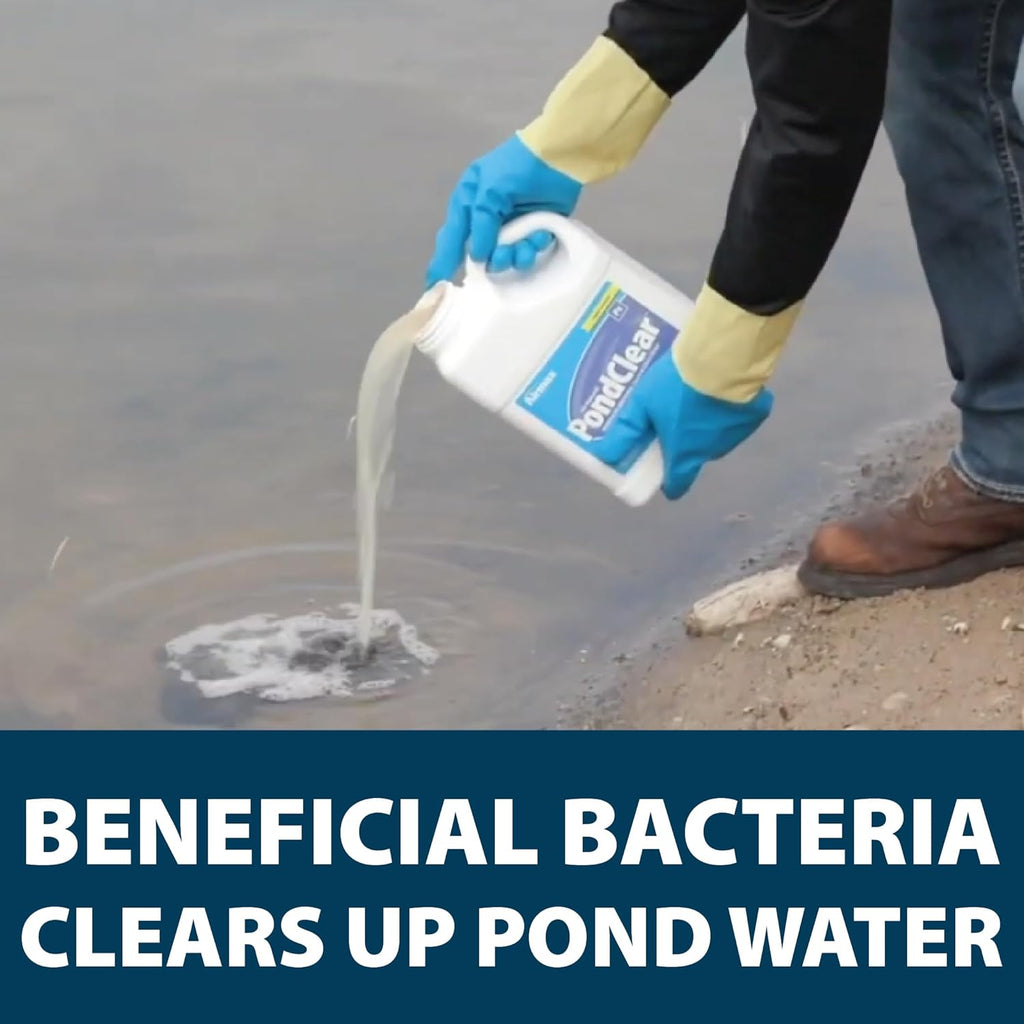 Airmax PondClear Liquid Bacteria for Lakes, Ponds & Water Garden Treatments, Natural Bio Clarifier & Cleaner for Crystal Clear Water, Remove Nutrients & Noxious Odor, Fish, Pet & Plant Safe, 1 Gallon