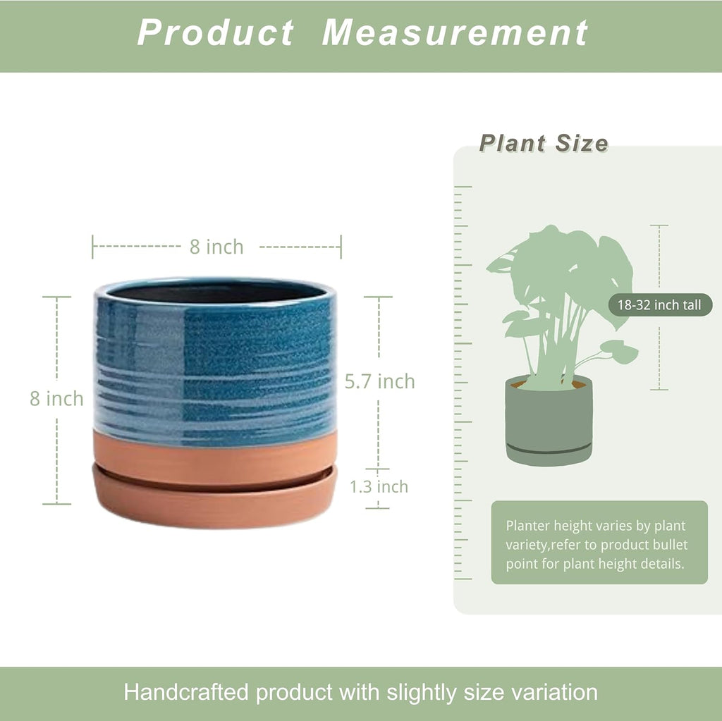 8 Inch Pots for Plants, Ceramic Planter Pot with Drainage Hole & Saucer, Indoor/Outdoor Cylinder Round Planter Pot, Blue & Terracotta