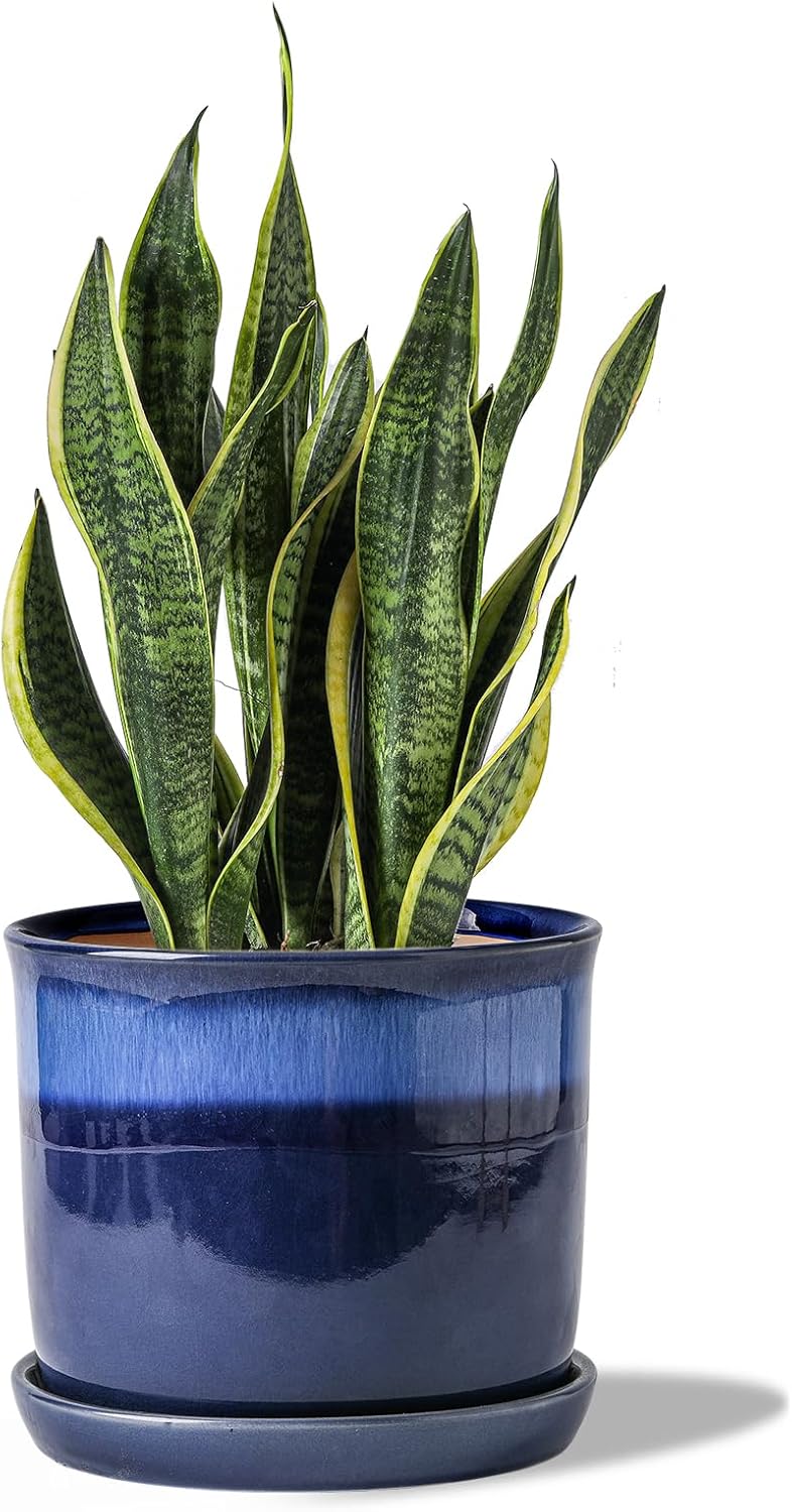 8 Inch Plant Pot: Ceramic Planter with Drainage Hole & Saucer - Gradient Blue Flowerpot for Indoor & Outdoor Plants with Separate Tray