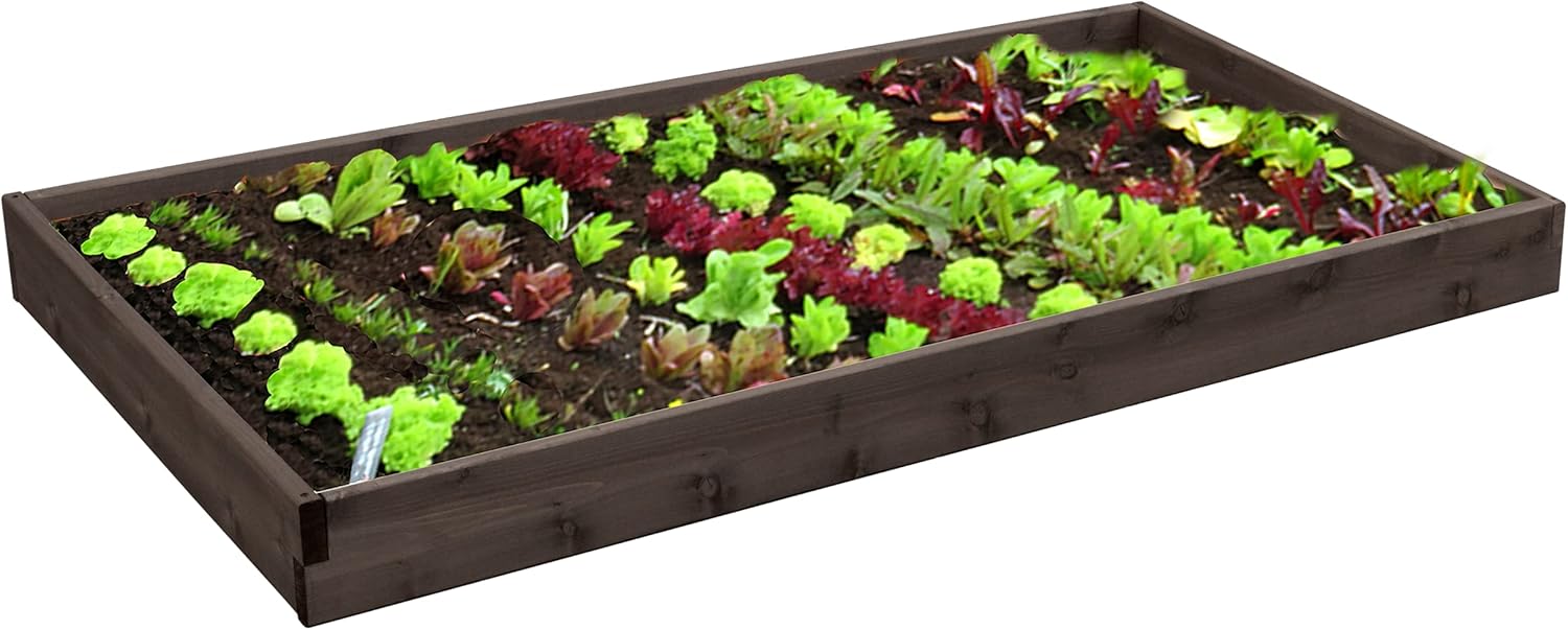 Red Cedar Wood Raised Vegetable Garden Bed - Amish Made in USA (5.5" Raised Bed, Walnut Stain)