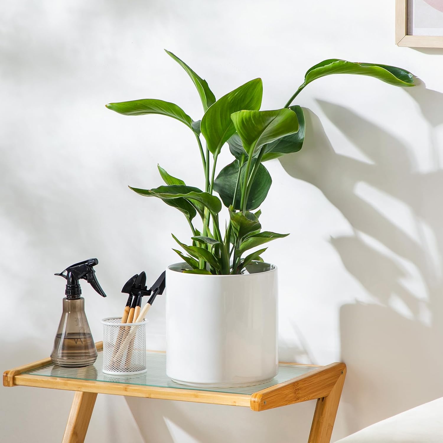 vancasso 8 Inch Ceramic Pot for Plants, Round Outdoor Indoor Planter Pots with Drainage Holes, White