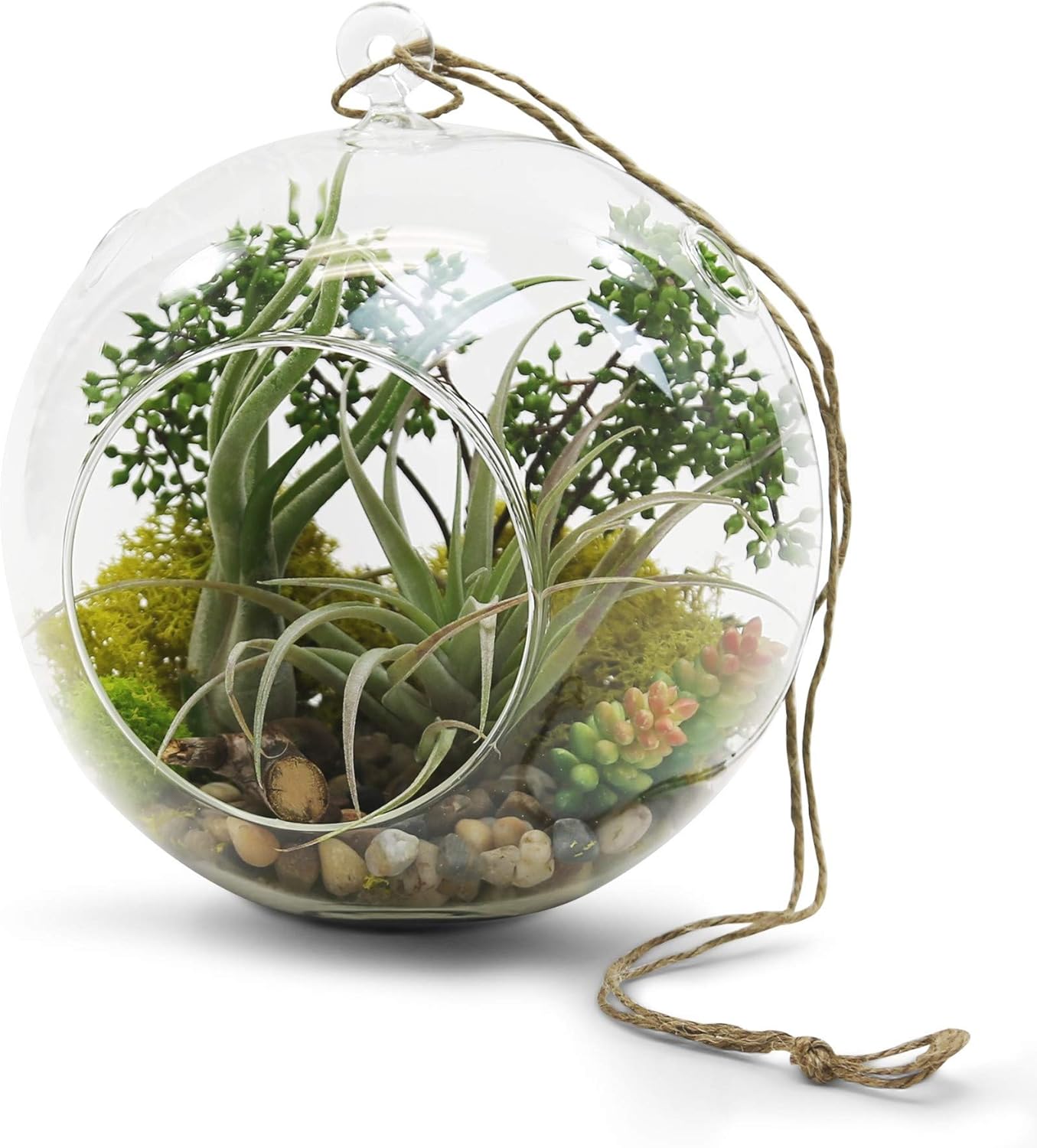 WGV Hanging Terrarium Globe, Width 8", Height 9", DIY Air Succulent Planter, Clear Glass Vase Orb with Flat Bottom, Candle Holder for Windowsill Outdoor Garden Decor, 1 Piece