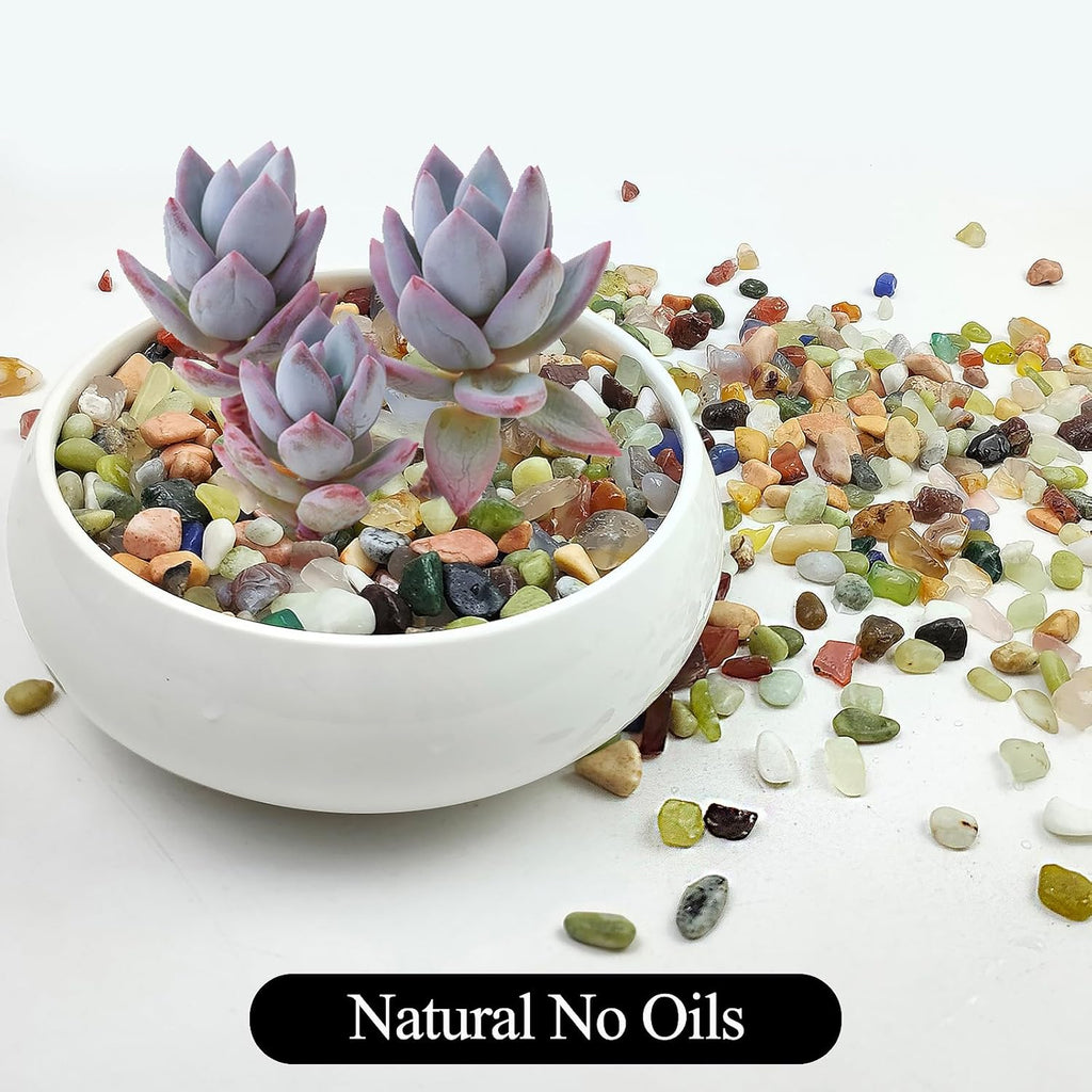 2LB Colorful Pebbles for Succulent, 3/8 Inch Natural River Rocks for Plants, Natural Decorative Polished Pebbles for Cactus,Vases, Planters,Outdoor Gardening and Indoor Plants