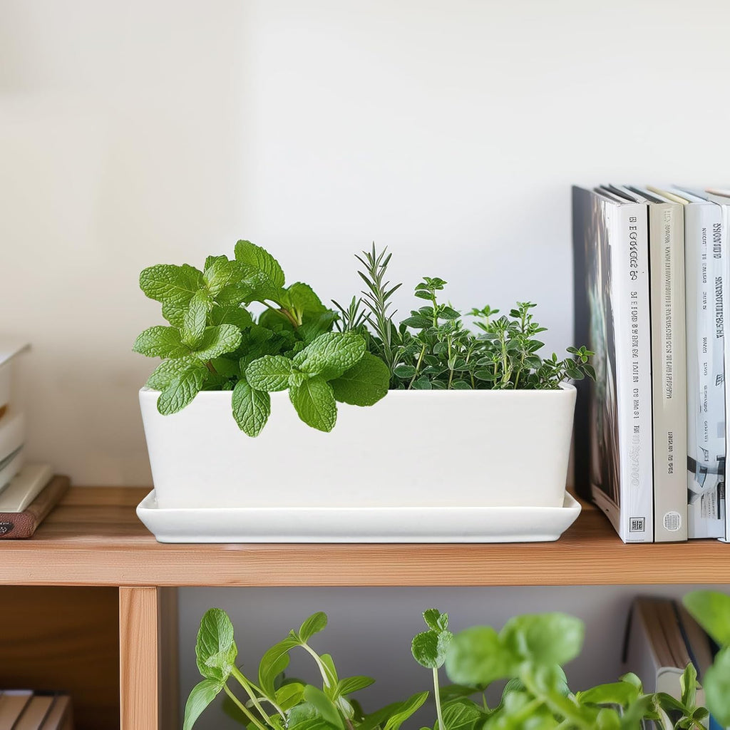 SQOWL Rectangular Planter - 10 Inch Ceramic Pots for Plants with Drainage Hole and Saucer, Succulent Pots for Indoor Outdoor, Cactus Herb Flower Planter, Home Decor, Gifts for Plant Lovers, White