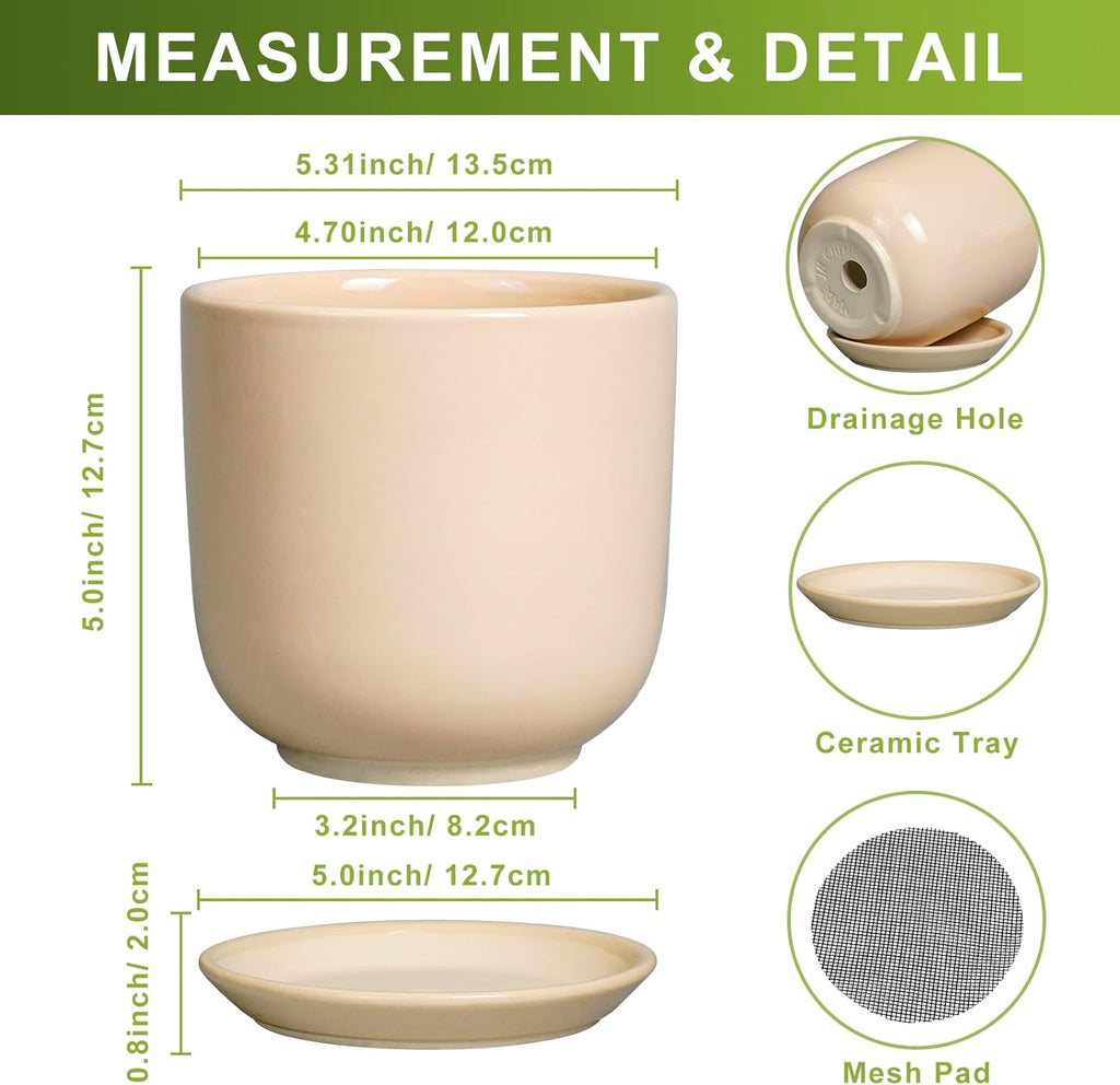 Ceramic Flower Pot 5 Inch - Round Succulent Planter for Indoor Plants with Drainage Hole and Saucer, Patio Room House Office Home Decor, Yellow