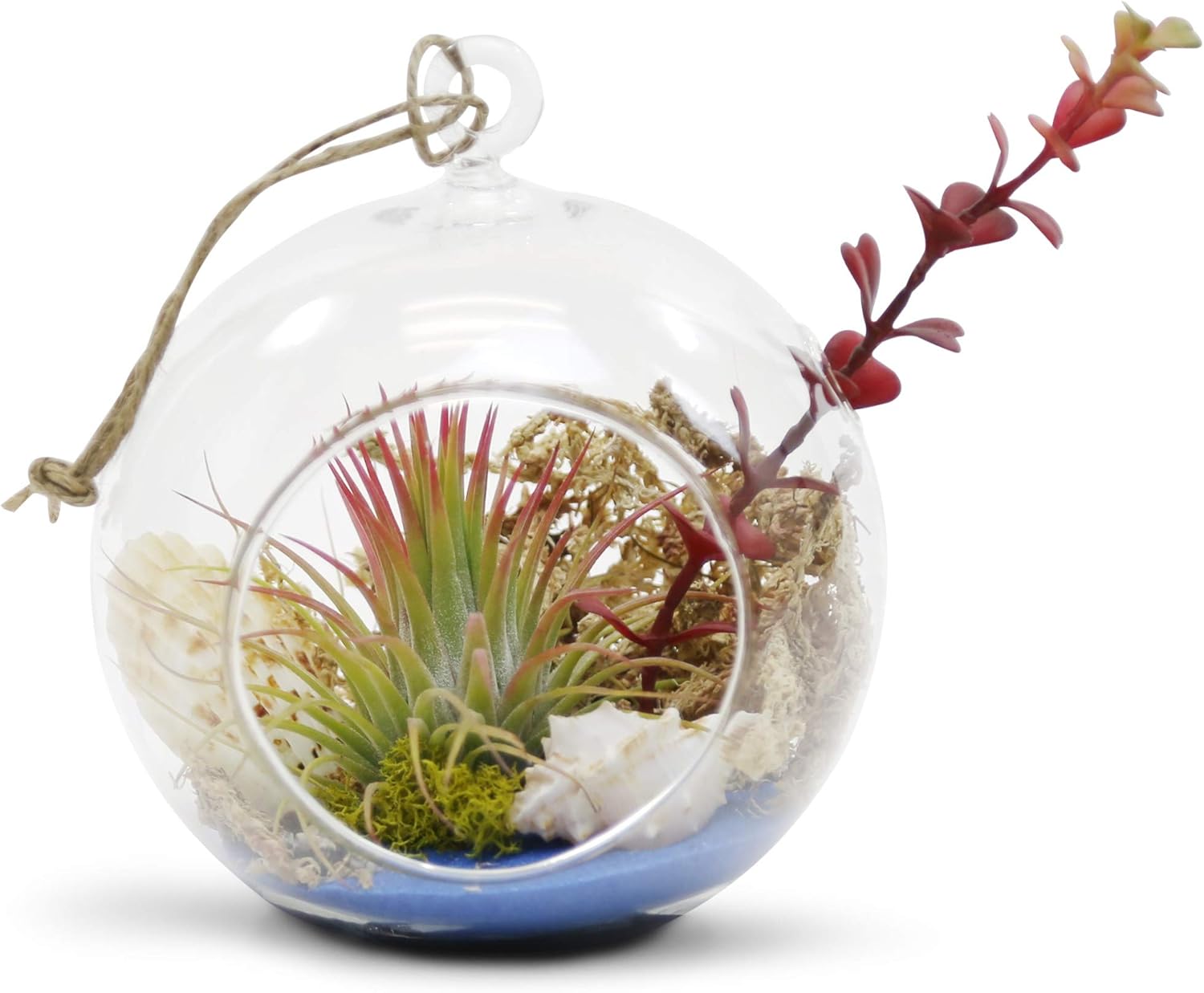WGV Hanging Terrarium Globe, Width 5", Height 6", DIY Air Succulent Planter, Clear Glass Vase Orb with Flat Bottom, Candle Holder for Windowsill Outdoor Garden Decor, 6 Pieces Bulk