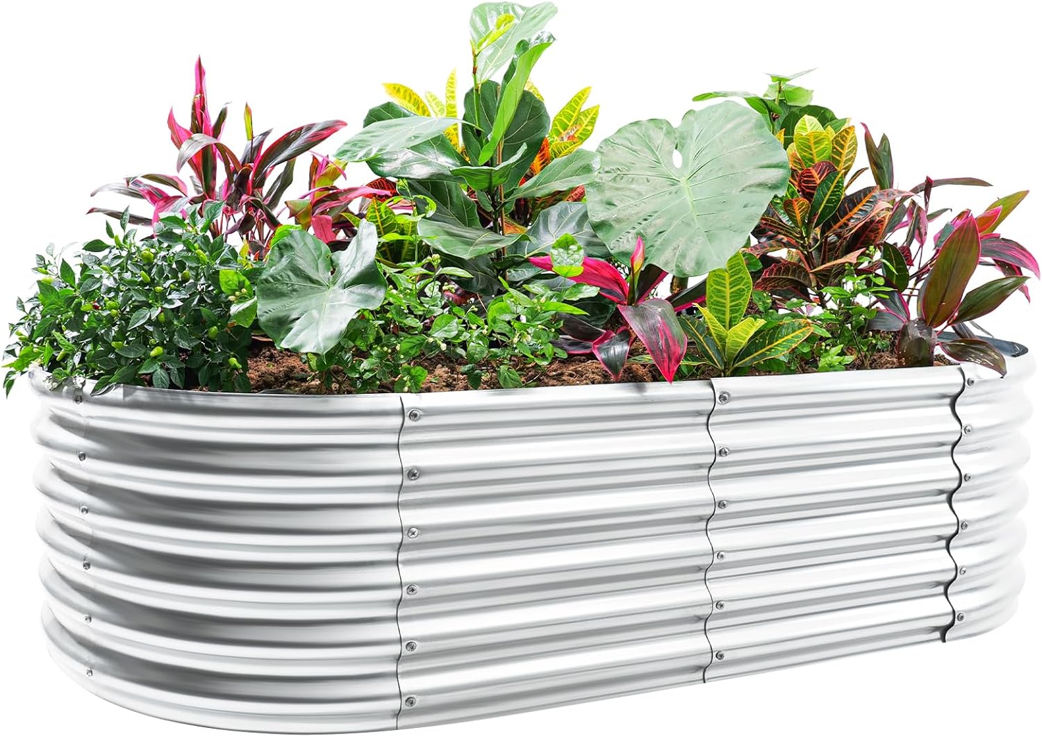Land Guard 4×2×1.5ft Galvanized Raised Garden Bed Kit, Galvanized Planter Garden Boxes Outdoor, Oval Large Metal Raised Garden Bed for Vegetables……… (Classic Silver
