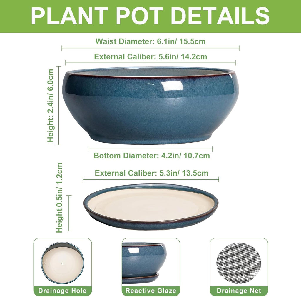 SQOWL Succulent Pots - 6 Inch Ceramic Bonsai Pots, Shallow Planter with Drainage Hole and Saucer, Modern Round Planter for Indoor Plants Outdoor, Flower Cactus Pot, Home Decor, Plant Lover Gift, Blue