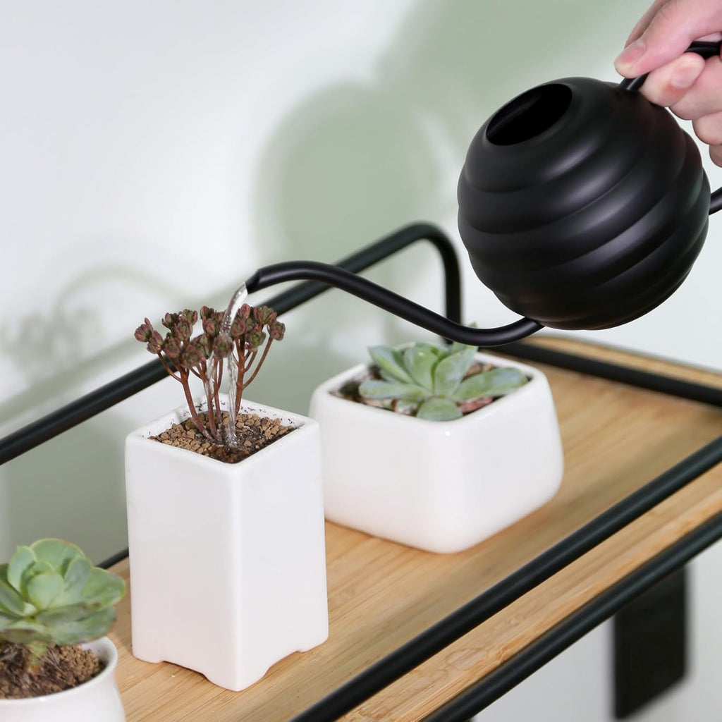 Plant Watering Bottle, 400ml/14oz, Retro Style Watering Can, Frosted (Black)