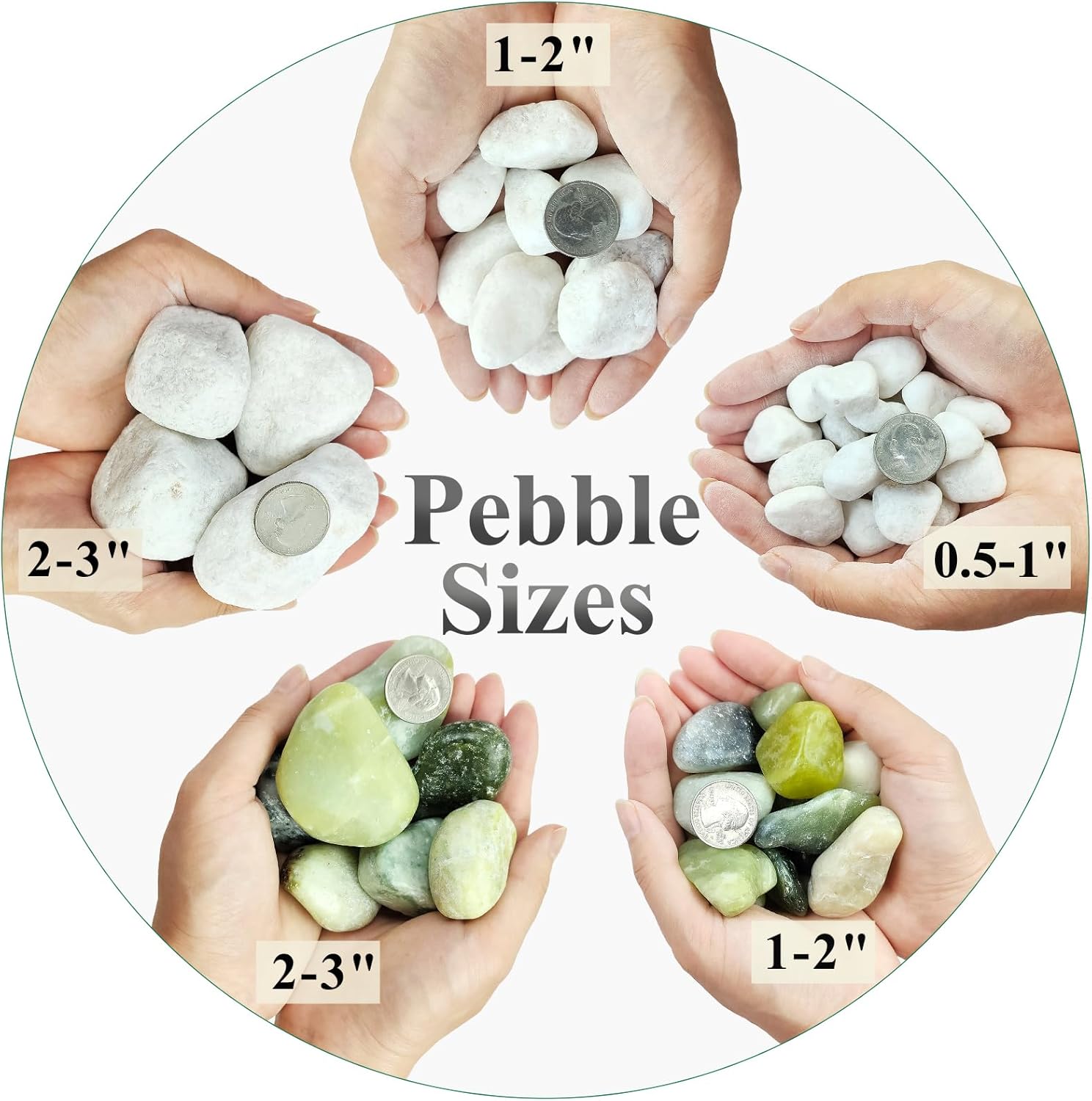 40 lbs White Rocks for Landscaping, 1-2 Inch White Gravel. Decorative Pebbles Stones for Plants, Vases, Craft and Garden
