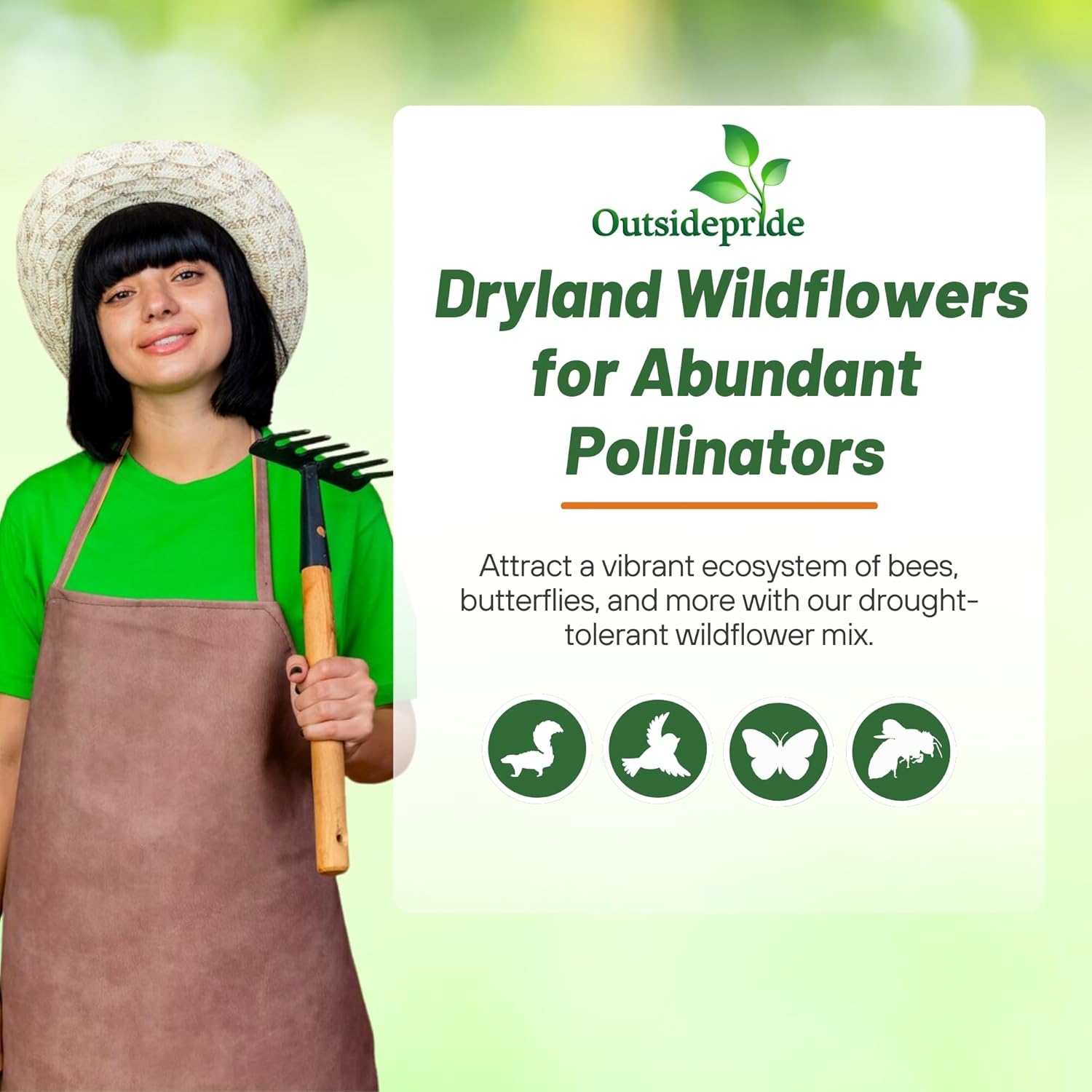 Outsidepride Dryland Wildflower Seed Mix - 1/4 lb. Colorful Blend of Drought Tolerant, Annual and Perennial Wildflower Seeds for Attracting Pollinators in Arid States & Xeriscapes