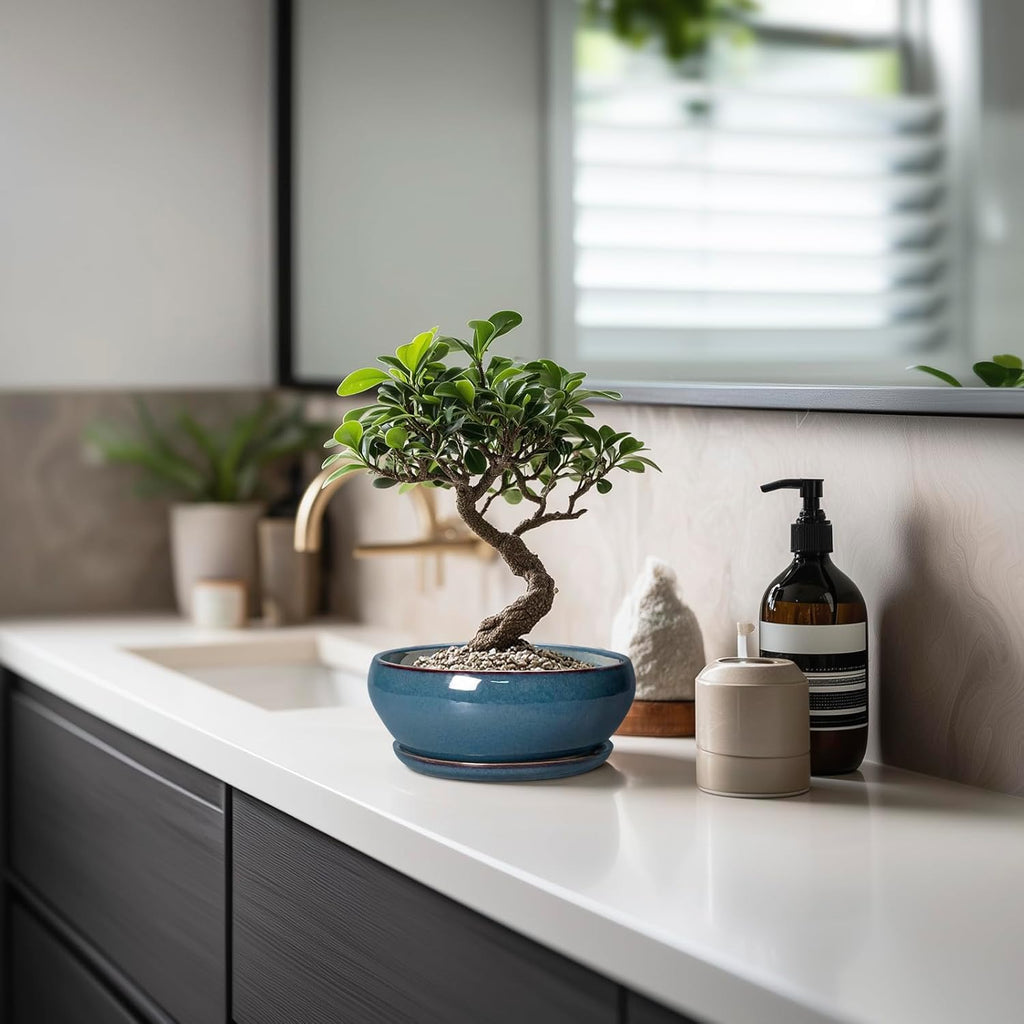 SQOWL Succulent Pots - 6 Inch Ceramic Bonsai Pots, Shallow Planter with Drainage Hole and Saucer, Modern Round Planter for Indoor Plants Outdoor, Flower Cactus Pot, Home Decor, Plant Lover Gift, Blue