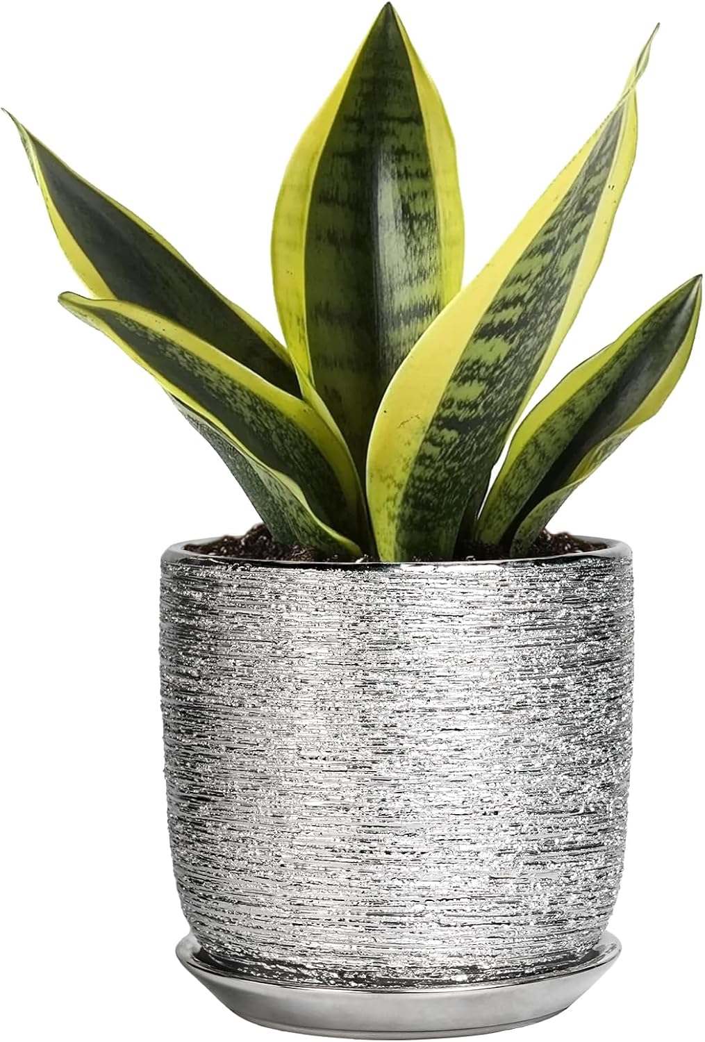Ceramic Plant Pot 5 Inch - Indoor Planter with Drainage Hole and Saucer, Round Modern Flower Pot for Succulent Plants, Housewarming Gifts, Office Home Desk Decor, Silver