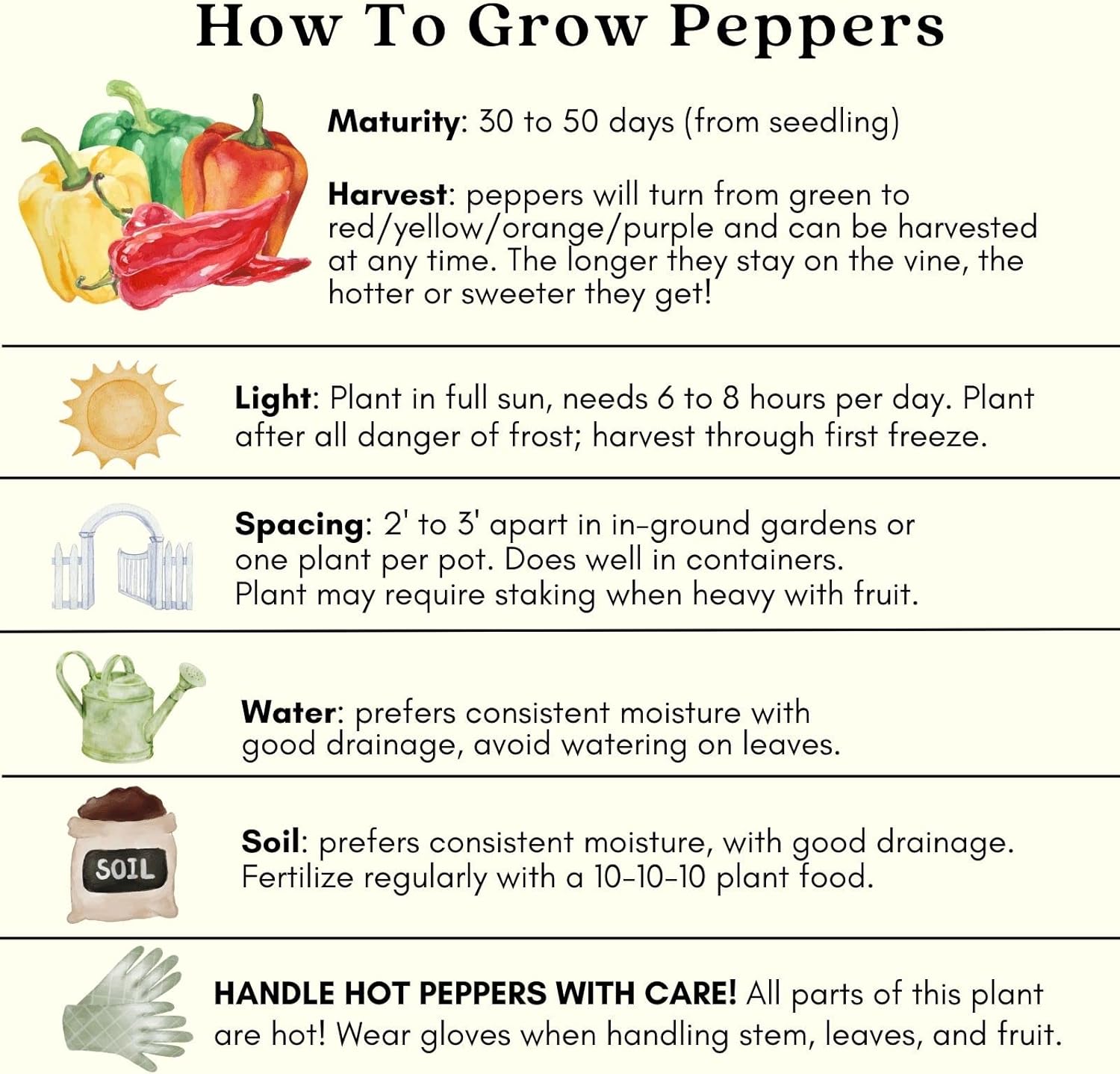 Clovers Garden Serrano Pepper Plants– Two (2) Live Plants – Non-GMO - Not Seeds - Each 4" to 8" Tall – in 4" Inch Pots – 20K SHU, Small Fruits