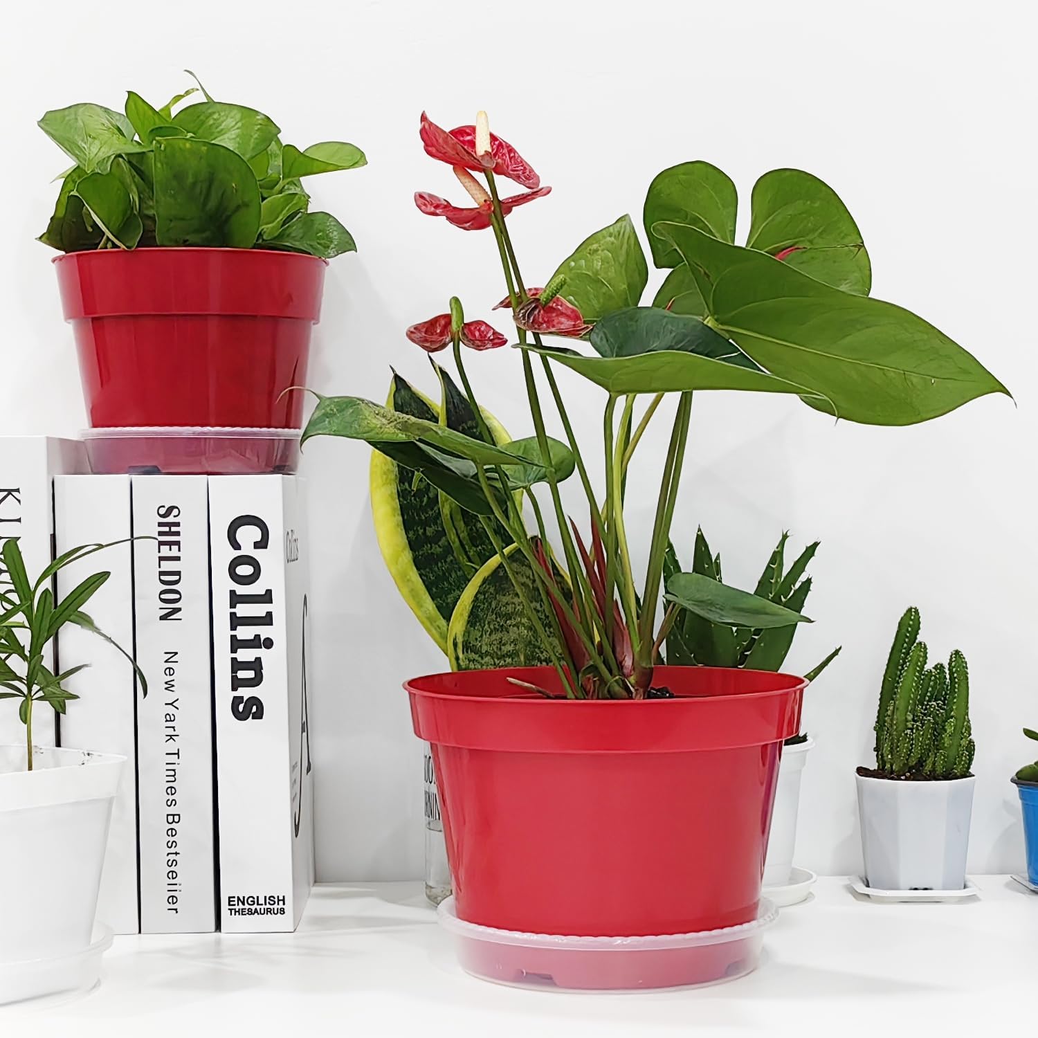 8 inch Plastic Flower Pots, Red Plant Pots 12Pack with Saucers for Indoor House Plants Growing and Decoration