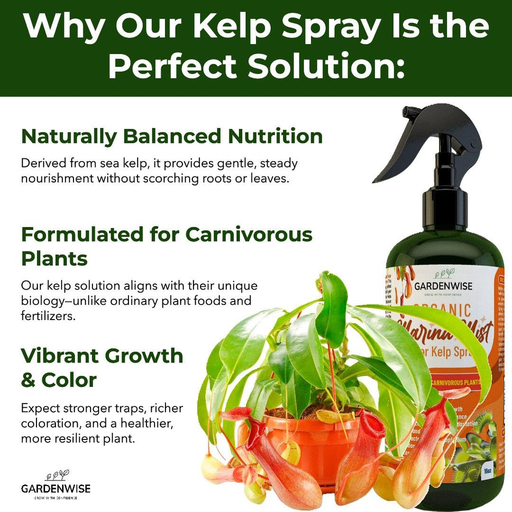 100% Organic Marina Mist Carnivorous Plant Food | Liquid Kelp Foliar Spray for Plants - Kelp Fertilizer for Venus Flytraps, Sundew, Butterworts, Pitcher Plants 16 Oz