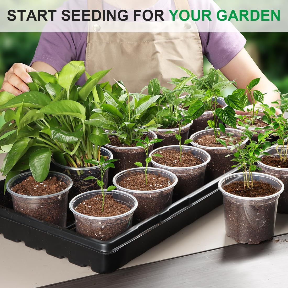 100 Pack 4 Inch Clear Plant pots with Drainage Holes, Transparent Nursery Seeding Pots, Flexile Seeds Starter Pots, Seeds Germination (4Inch,100P,Clear)