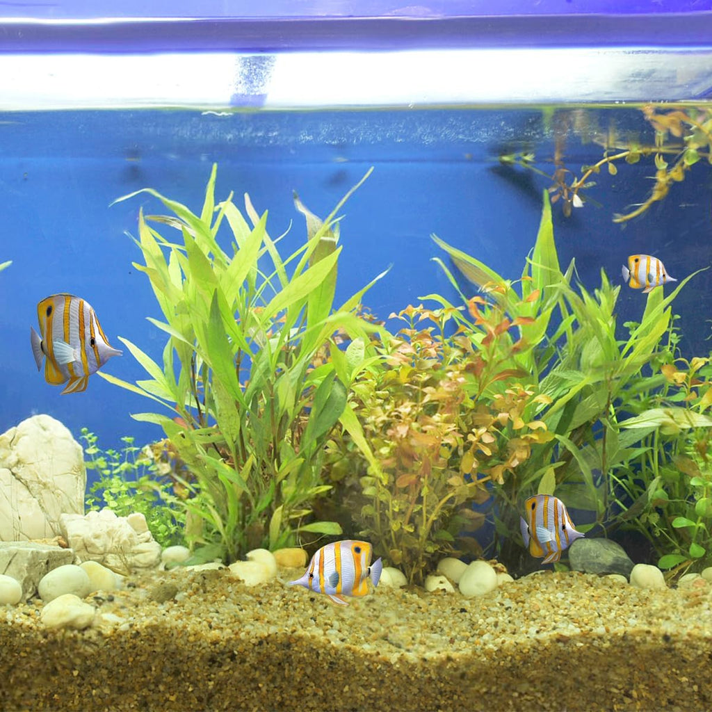 20lbs Aquarium Gravel, 1/16"(0.6-1.2mm) Natural River Rocks Succulent Cactus Pea Gravel for Plants, Fish Tank, Decorative Pebbles for Gardening, Flower Pots, Vase Fillers, Landscaping