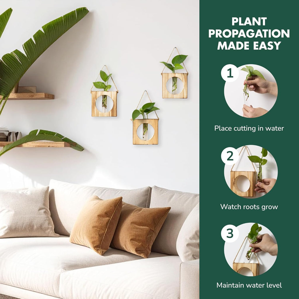 · GARDEN REPUBLIC · Propagation Stations Set of 3 - Propagation Vases for Plants - Hanging Wooden Wall Planter and Glass Test Tubes - Indoor Plant Holder, Hydroponic Decor