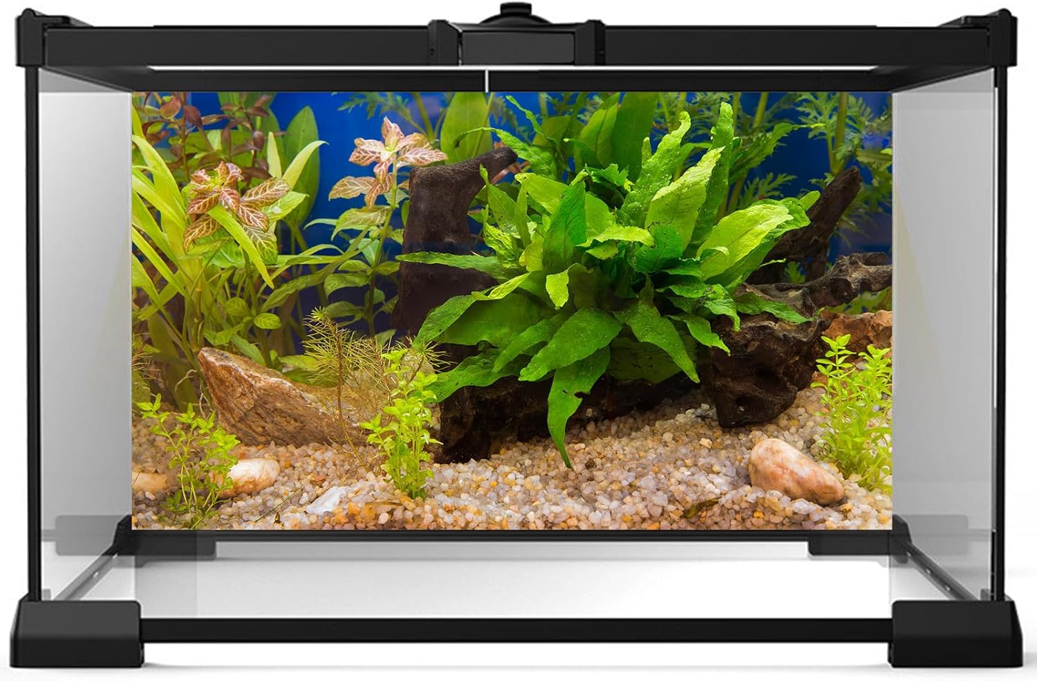Aquarium Backdrop Underwater Grass Leaves Pebble Aquarium Background Vivid and Fresh Green Aquatic Plant Stone River Bed Fish Dead Wood Leaves Tank Background Decors Vinyl 24x12in